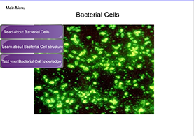 Bacterial Cell Lesson Screen